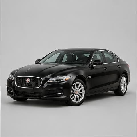 Imagem ilustrativa — Jaguar XRF